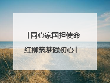 同心家国担使命 红柳筑梦践初心