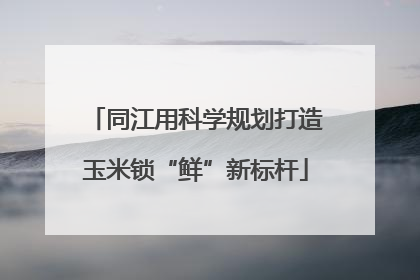 同江用科学规划打造玉米锁“鲜”新标杆
