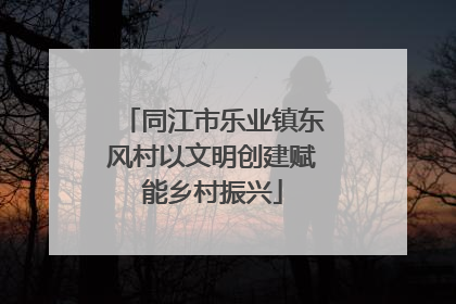 同江市乐业镇东风村以文明创建赋能乡村振兴