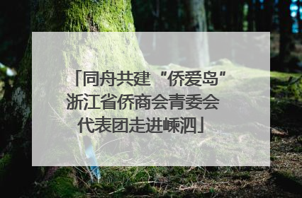 同舟共建“侨爱岛” 浙江省侨商会青委会代表团走进嵊泗