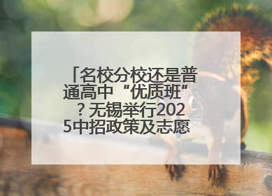 名校分校还是普通高中“优质班”？无锡举行2025中招政策及志愿填报现场咨询会