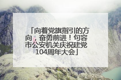 向着党旗指引的方向，奋勇前进！句容市公安机关庆祝建党104周年大会