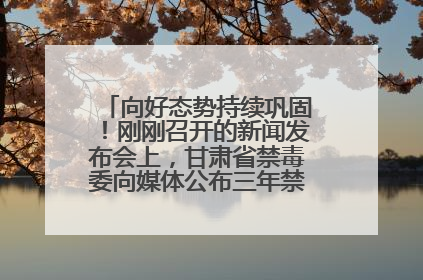 向好态势持续巩固！刚刚召开的新闻发布会上，甘肃省禁毒委向媒体公布三年禁毒工作“成绩单”