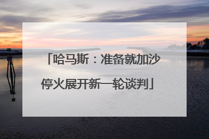 哈马斯：准备就加沙停火展开新一轮谈判