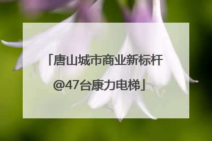唐山城市商业新标杆@47台康力电梯