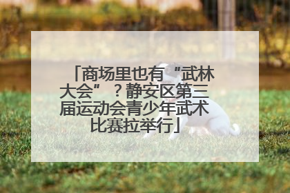商场里也有“武林大会”？静安区第三届运动会青少年武术比赛拉举行