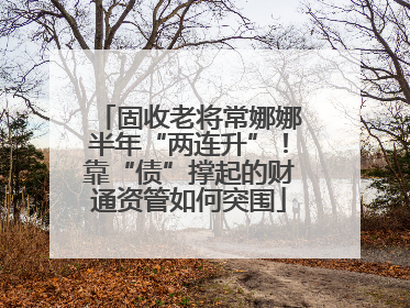 固收老将常娜娜半年“两连升”！靠“债”撑起的财通资管如何突围