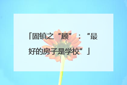固镇之“顾”：“最好的房子是学校”
