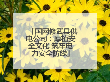 国网修武县供电公司：厚植安全文化 筑牢电力安全防线