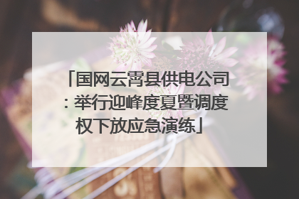 国网云霄县供电公司：举行迎峰度夏暨调度权下放应急演练