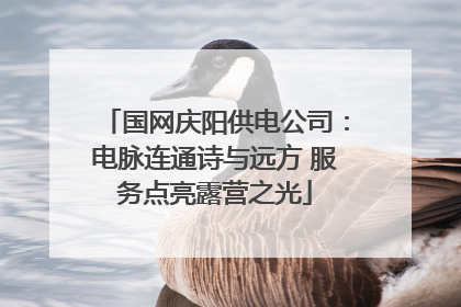 国网庆阳供电公司：电脉连通诗与远方 服务点亮露营之光
