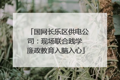 国网长乐区供电公司：现场联合践学 廉政教育入脑入心