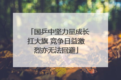 国乒中坚力量成长扛大旗 竞争日益激烈亦无法回避
