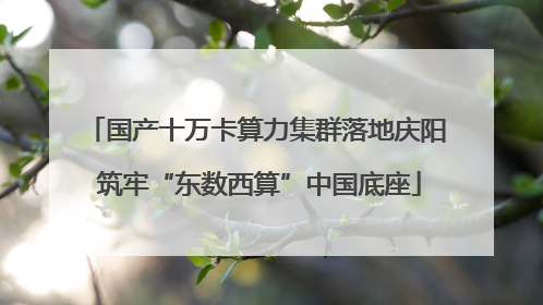 国产十万卡算力集群落地庆阳 筑牢“东数西算”中国底座