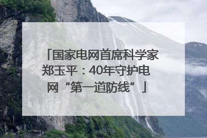国家电网首席科学家郑玉平：40年守护电网“第一道防线”