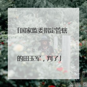 国家监委指定管辖的田玉军，判了