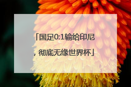 国足0:1输给印尼，彻底无缘世界杯