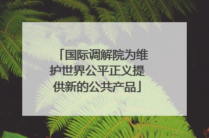 国际调解院为维护世界公平正义提供新的公共产品