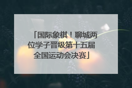 国际象棋！聊城两位学子晋级第十五届全国运动会决赛