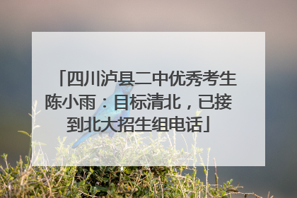 四川泸县二中优秀考生陈小雨：目标清北，已接到北大招生组电话