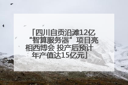 四川自贡沿滩12亿“智算服务器”项目亮相西博会 投产后预计年产值达15亿元
