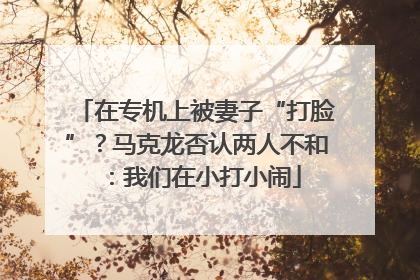 在专机上被妻子“打脸”？马克龙否认两人不和：我们在小打小闹
