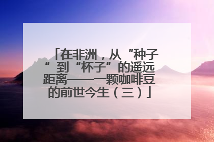 在非洲，从“种子”到“杯子”的遥远距离——一颗咖啡豆的前世今生（三）