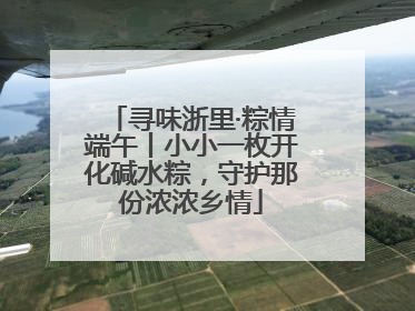寻味浙里·粽情端午丨小小一枚开化碱水粽，守护那份浓浓乡情