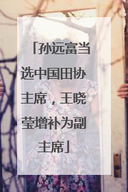 孙远富当选中国田协主席，王晓莹增补为副主席