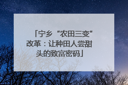 宁乡“农田三变”改革：让种田人尝甜头的致富密码