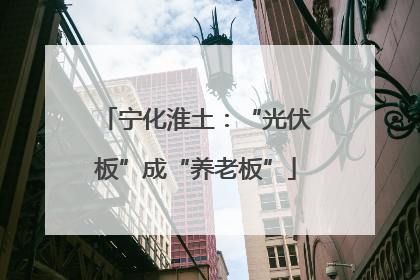 宁化淮土：“光伏板”成“养老板”
