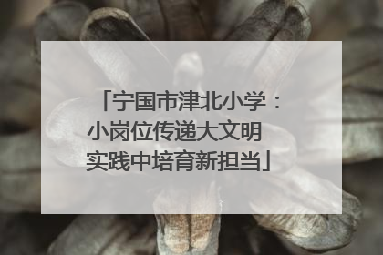 宁国市津北小学：小岗位传递大文明 实践中培育新担当