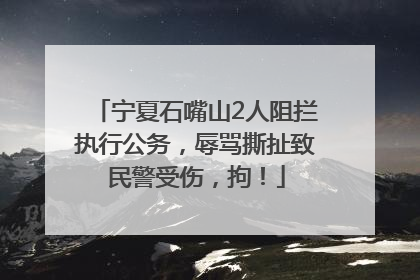 宁夏石嘴山2人阻拦执行公务，辱骂撕扯致民警受伤，拘！