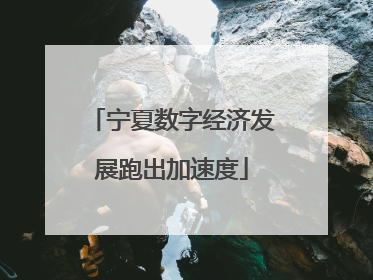 宁夏数字经济发展跑出加速度
