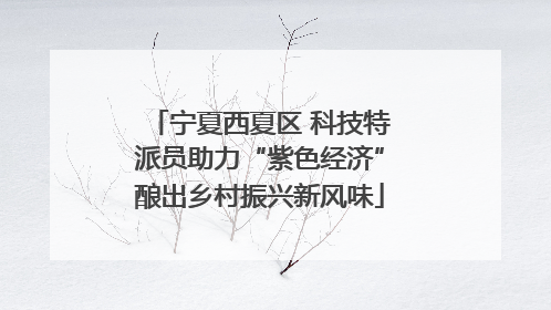 宁夏西夏区 科技特派员助力“紫色经济”酿出乡村振兴新风味