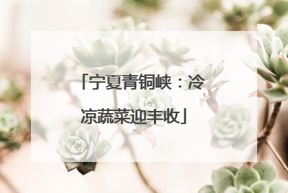 宁夏青铜峡：冷凉蔬菜迎丰收
