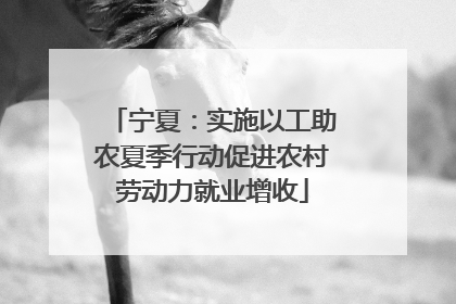 宁夏：实施以工助农夏季行动促进农村劳动力就业增收