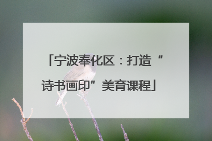 宁波奉化区：打造“诗书画印”美育课程
