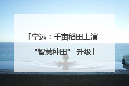 宁远：千亩稻田上演 “智慧种田” 升级