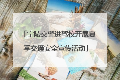 宁陵交警进驾校开展夏季交通安全宣传活动