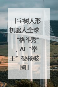 宇树人形机器人全球“格斗秀”，AI“拳王”硬核破圈