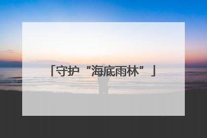 守护“海底雨林”