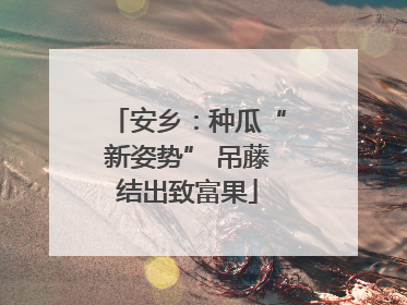 安乡：种瓜“新姿势” 吊藤结出致富果