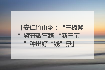 安仁竹山乡：“三板斧”劈开致富路 “新三宝”种出好“钱”景