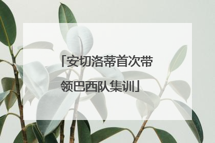 安切洛蒂首次带领巴西队集训