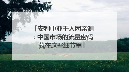 安利中亚千人团亲测：中国市场的流量密码 藏在这些细节里