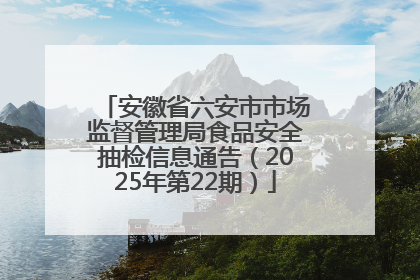 安徽省六安市市场监督管理局食品安全抽检信息通告（2025年第22期）