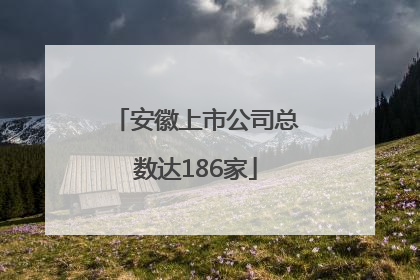 安徽上市公司总数达186家