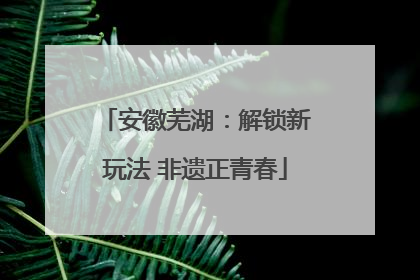 安徽芜湖：解锁新玩法 非遗正青春