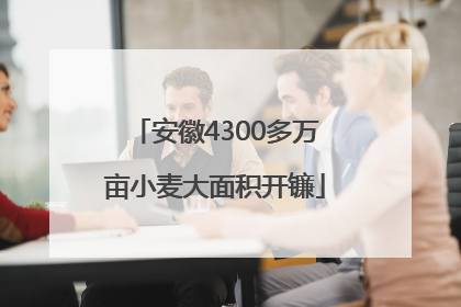 安徽4300多万亩小麦大面积开镰